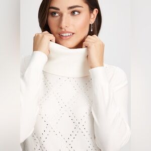 NWT Laura Knit Sweater